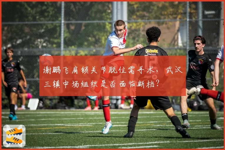 谢鹏飞肩锁关节脱位需手术，武汉三镇中场组织是否面临断档？