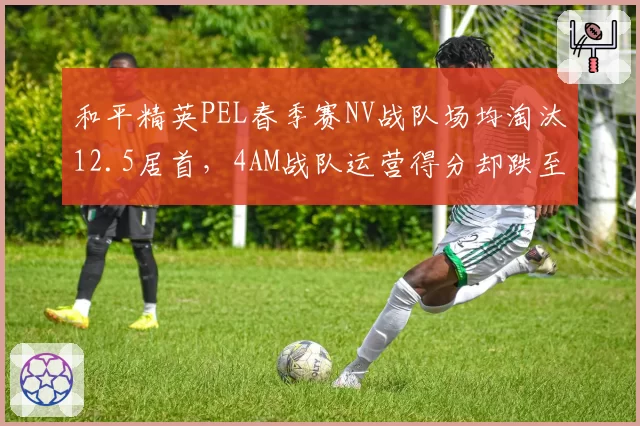 和平精英PEL春季赛NV战队场均淘汰12.5居首，4AM战队运营得分却跌至联盟第十