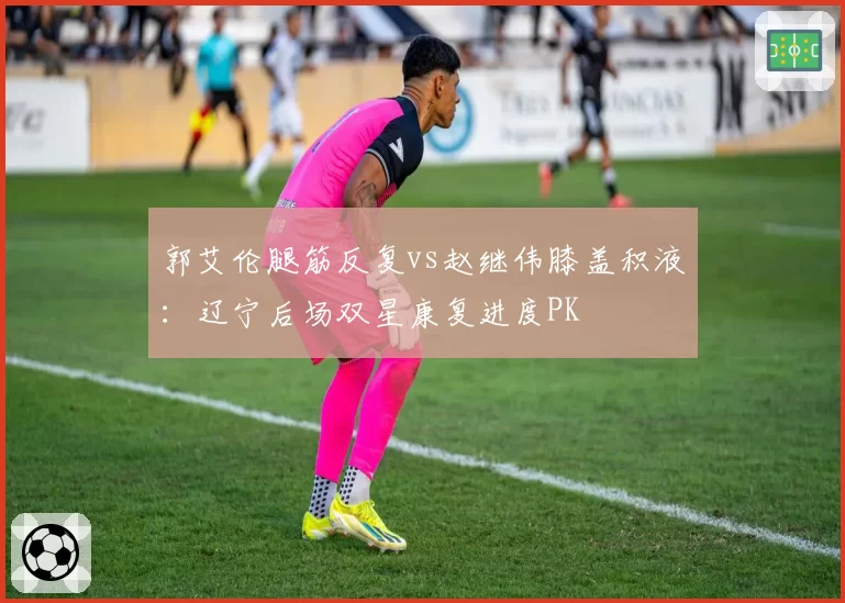 郭艾伦腿筋反复vs赵继伟膝盖积液:辽宁后场双星康复进度PK