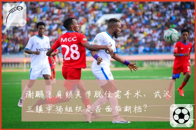 谢鹏飞肩锁关节脱位需手术，武汉三镇中场组织是否面临断档？