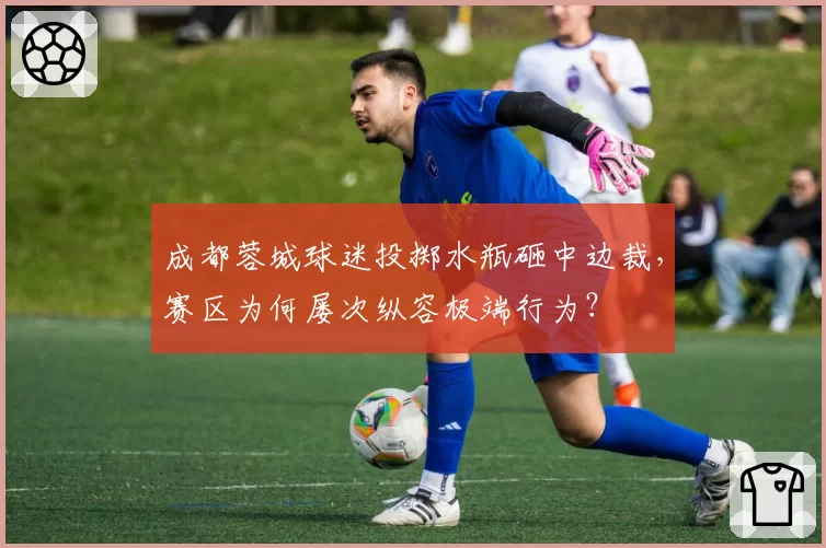 成都蓉城球迷投掷水瓶砸中边裁，赛区为何屡次纵容极端行为？